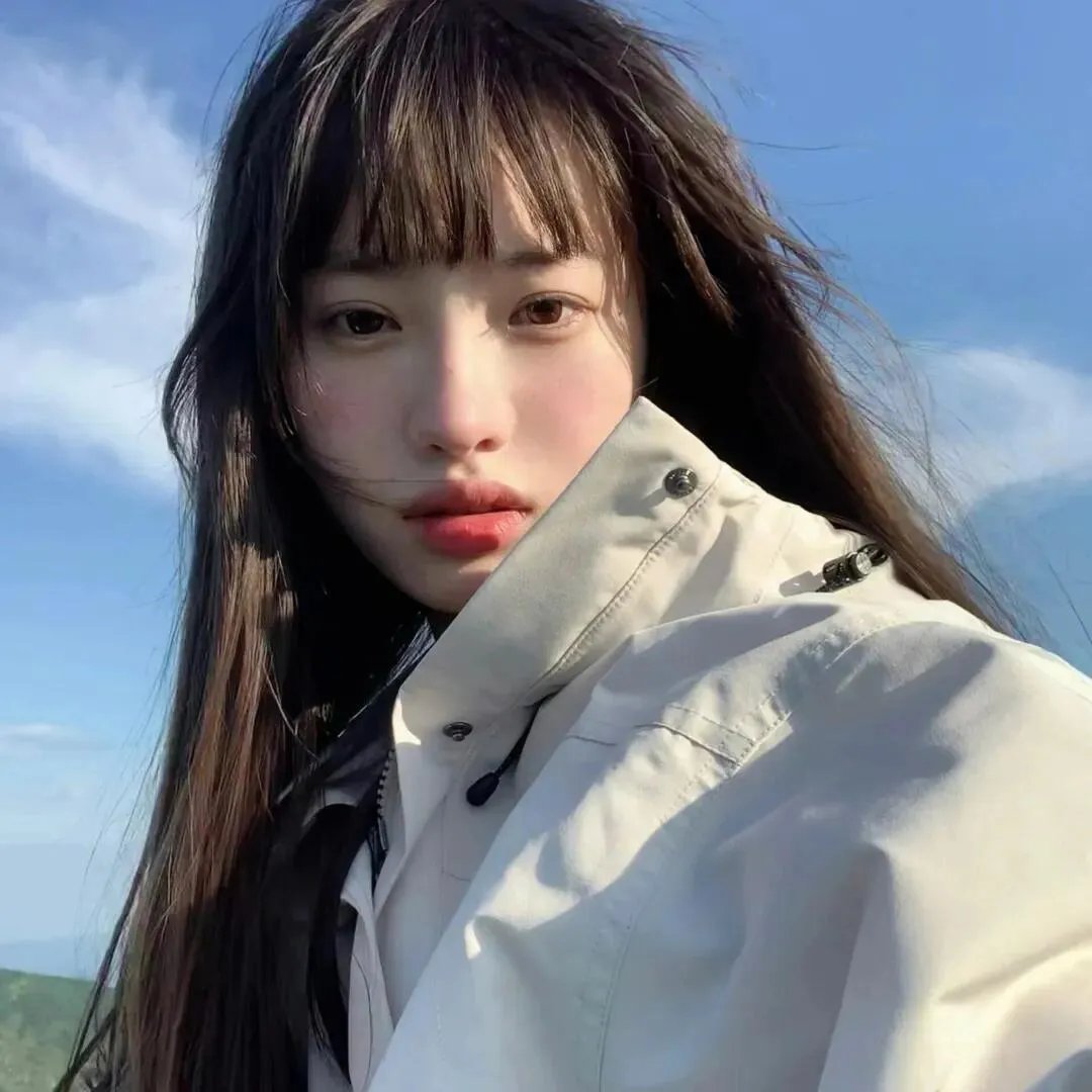 假如动物会摄影